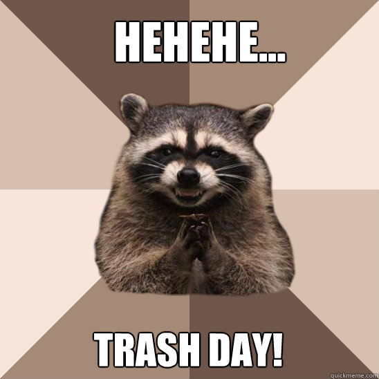 Hehehe... Trash day! - Hehehe... Trash day!  Evil Plotting Raccoon