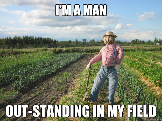 i'm a man out-standing in my field  Scarecrow