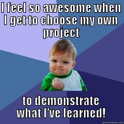 I FEEL SO AWESOME WHEN I GET TO CHOOSE MY OWN PROJECT TO DEMONSTRATE WHAT I'VE LEARNED! Success Kid