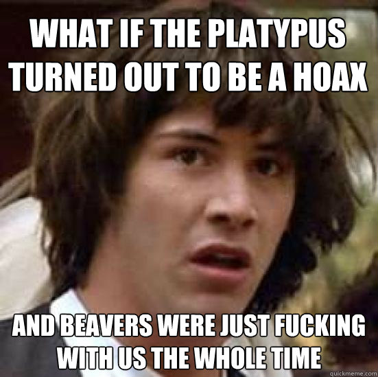 what if the platypus turned out to be a hoax and beavers were just fucking with us the whole time  conspiracy keanu