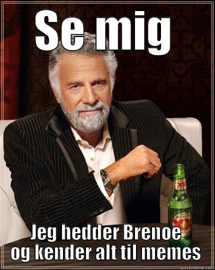 SE MIG JEG HEDDER BRENØE OG KENDER ALT TIL MEMES The Most Interesting Man In The World