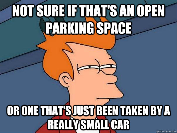 Not sure if that's an open parking space Or one that's just been taken by a really small car  Futurama Fry