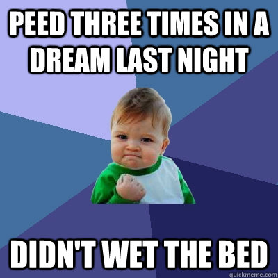 Peed three times in a dream last night didn't wet the bed  Success Kid