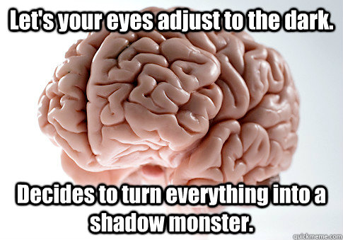 Let's your eyes adjust to the dark. Decides to turn everything into a shadow monster.   Scumbag Brain