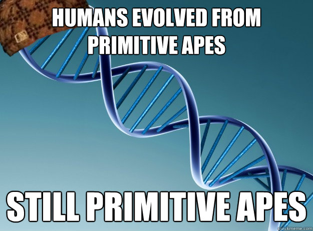 Humans evolved from primitive apes still primitive apes  Scumbag Genetics