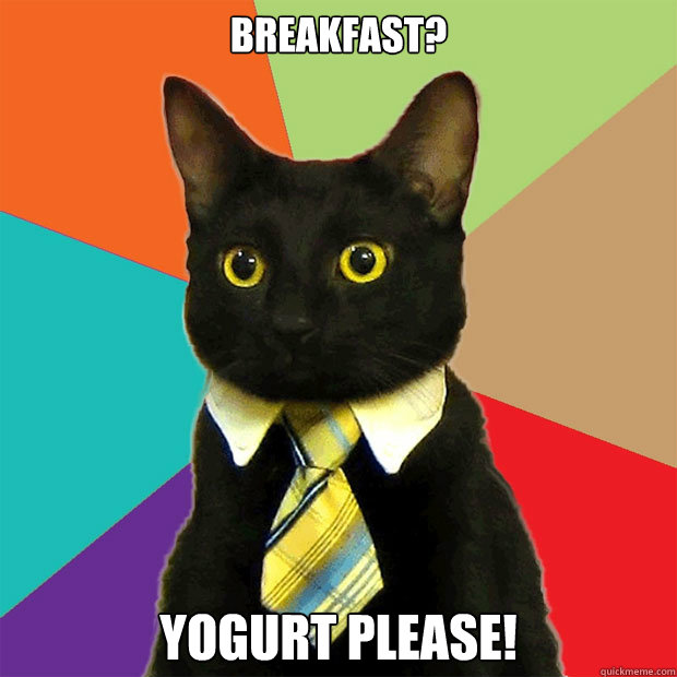 Breakfast? Yogurt please!  Business Cat