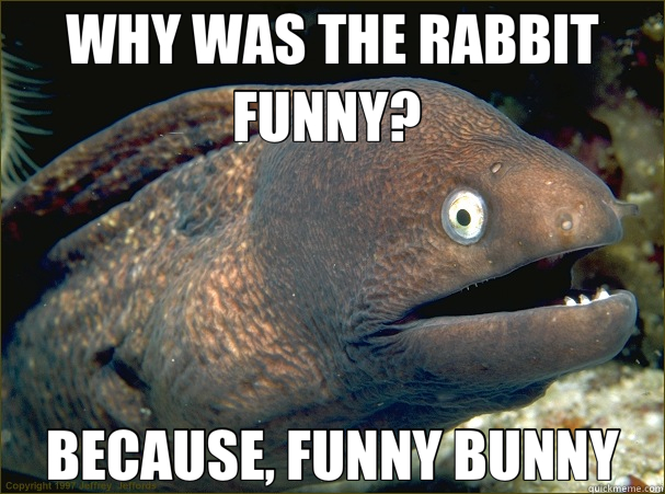 WHY WAS THE RABBIT FUNNY?  BECAUSE, FUNNY BUNNY  Bad Joke Eel