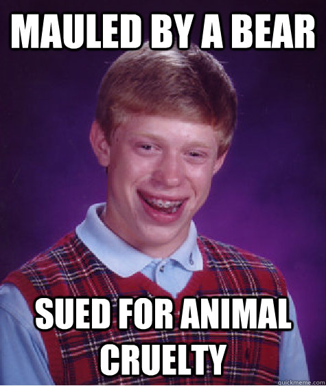 Mauled by a bear Sued for animal cruelty  Bad Luck Brian