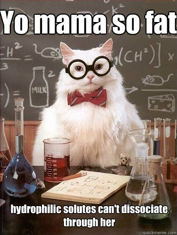 Yo mama so fat hydrophilic solutes can't dissociate through her  Chemistry Cat