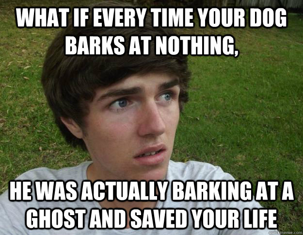 what if every time your dog barks at nothing, he was actually barking