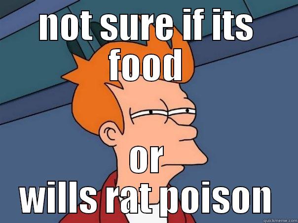 NOT SURE IF ITS FOOD OR WILLS RAT POISON Futurama Fry