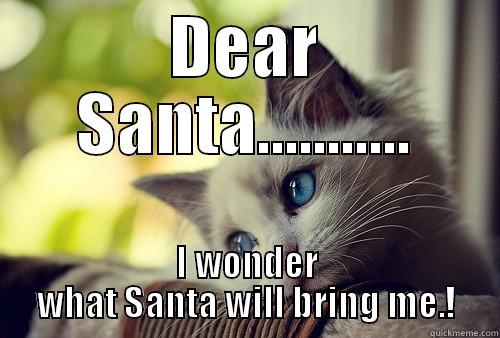 Dear Santa. - DEAR SANTA........... I WONDER WHAT SANTA WILL BRING ME.! First World Problems Cat