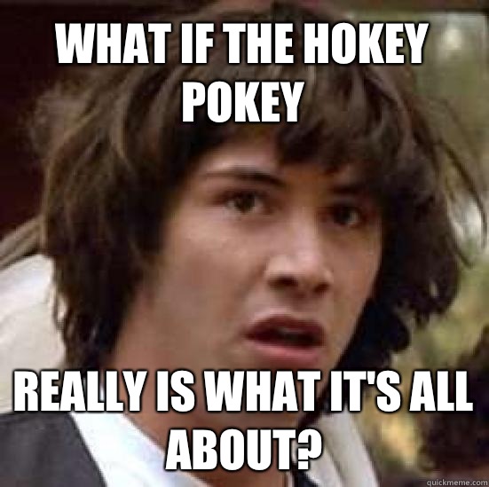 What if the hokey pokey Really is what it's all about?  conspiracy keanu