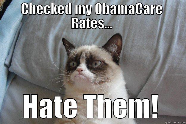 ObamaCare Blows - CHECKED MY OBAMACARE RATES... HATE THEM! Grumpy Cat