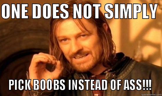 ONE DOES NOT SIMPLY  PICK BOOBS INSTEAD OF ASS!!! Boromir