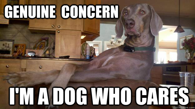 Genuine  Concern I'm a Dog who cares - Genuine  Concern I'm a Dog who cares  Genuine Concern Dog