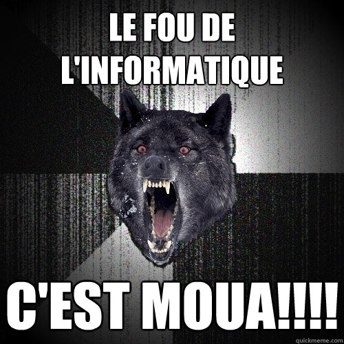 Le fou de l'informatique C'EST MOUA!!!!  Insanity Wolf