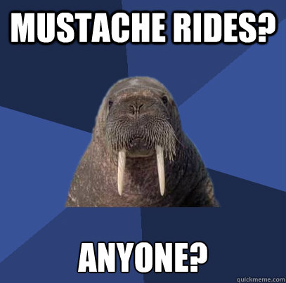 Mustache rides? Anyone?  Web Developer Walrus