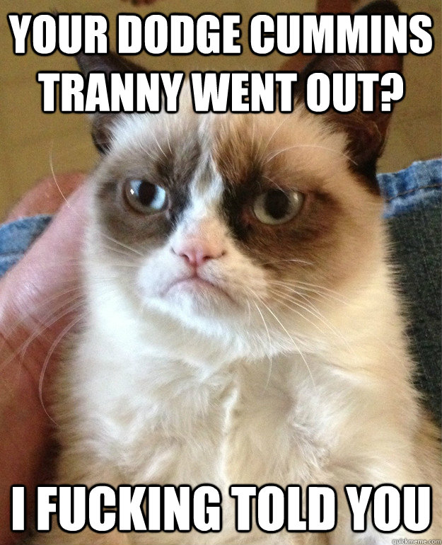 Your Dodge Cummins Tranny went out? I fucking told you  Grumpy Cat