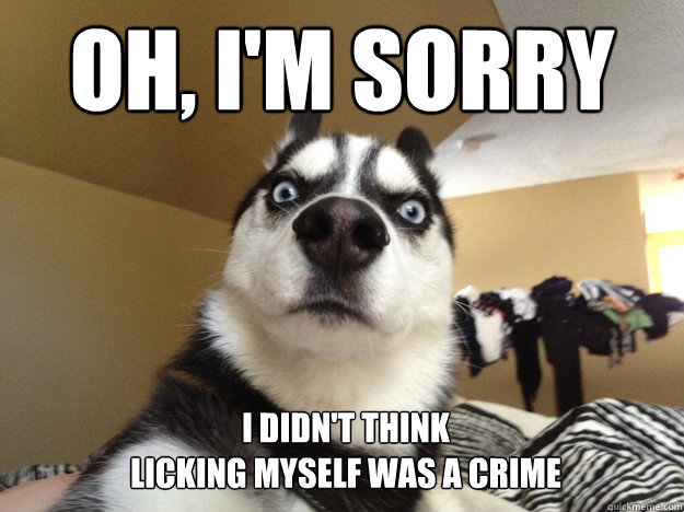 Oh, I'm sorry I didn't think
Licking myself was a crime   