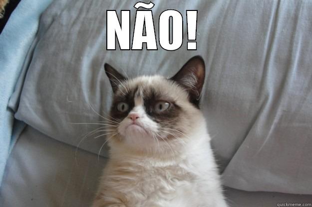 NÃO!  Grumpy Cat