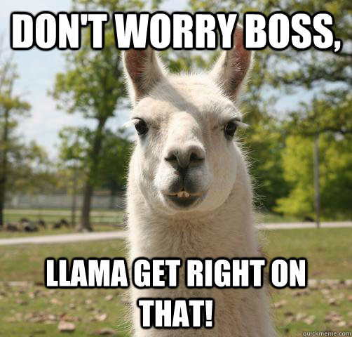 Don't worry boss, Llama get right on that! - Don't worry boss, Llama get right on that!  Llama get right on that!