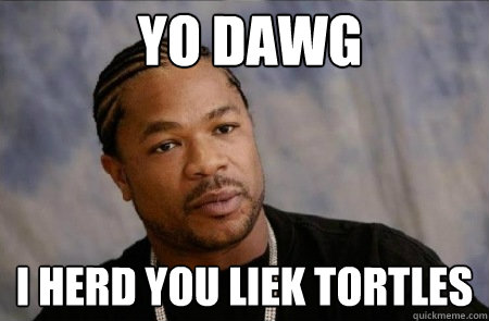 Yo dawg i herd you liek tortles - Yo dawg i herd you liek tortles  Xzibit tortles