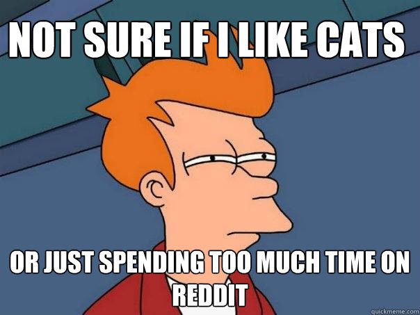 not sure if i like cats or just spending too much time on reddit  Futurama Fry