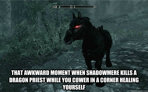  That awkward moment when shadowmere kills a dragon priest while you cower in a corner healing yourself  shadowmere