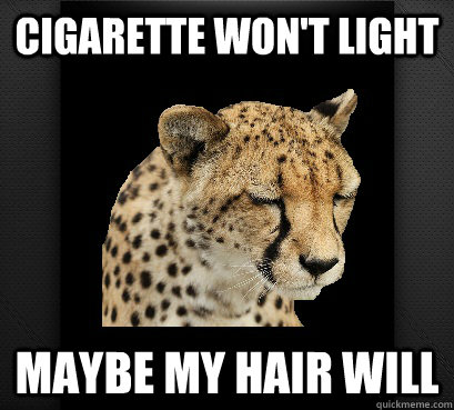 cigarette won't light maybe my hair will  Defeated Cheetah