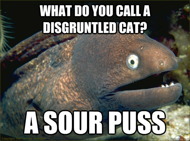 what do you call a disgruntled cat? a sour puss  Bad Joke Eel