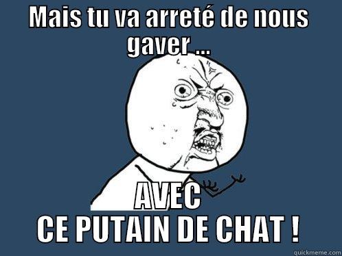 MAIS TU VA ARRETÉ DE NOUS GAVER ... AVEC CE PUTAIN DE CHAT ! Y U No