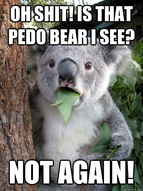 Oh shit! Is that Pedo bear I see? Not Again!   koala bear