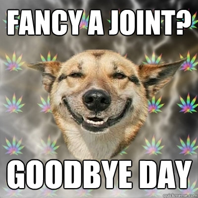 Fancy a joint? Goodbye Day  Stoner Dog