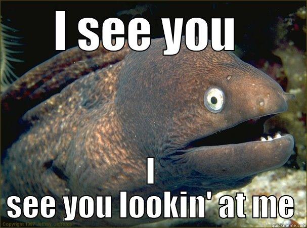 I see you o-o - I SEE YOU  I SEE YOU LOOKIN' AT ME Bad Joke Eel