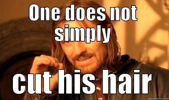 ONE DOES NOT SIMPLY CUT HIS HAIR Boromir