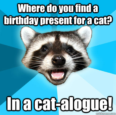 Where do you find a birthday present for a cat?  In a cat-alogue!  Lame Pun Coon