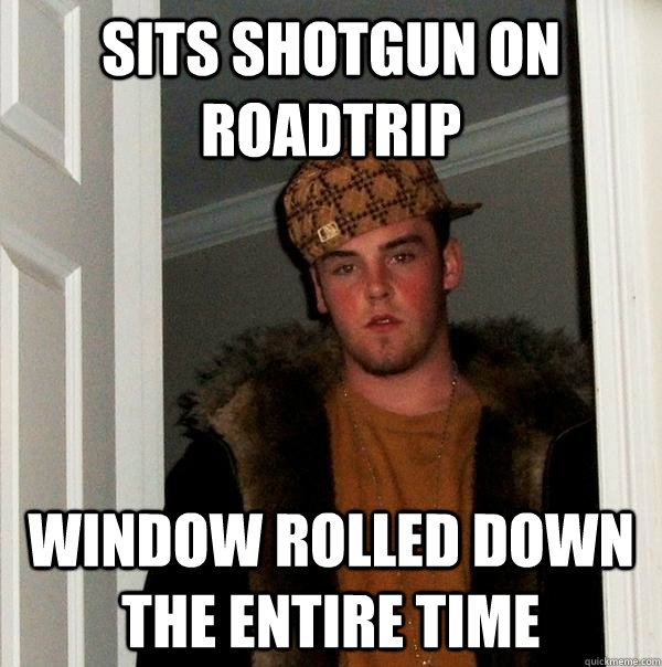 sits shotgun on roadtrip window rolled down the entire time  Scumbag Steve