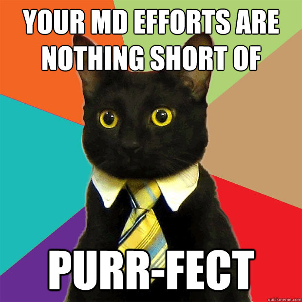 YOUR MD EFFORTS ARE NOTHING SHORT OF Purr-fect  Business Cat