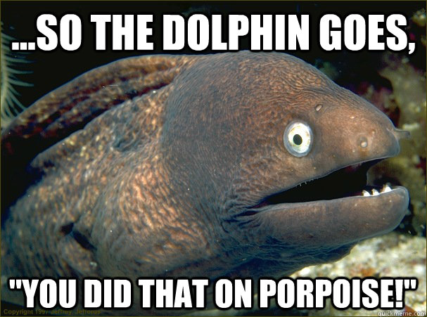 ...So the dolphin goes, 