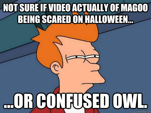 Not sure if video actually of Magoo being scared on halloween... ...Or confused Owl.  Futurama Fry