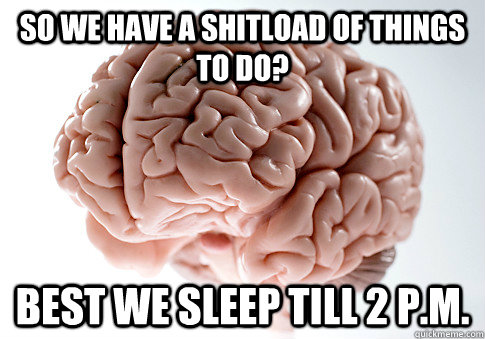 So we have a shitload of things to do? best we sleep till 2 p.m.  Scumbag Brain