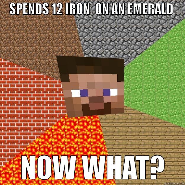 Spending 12 iron ingots on an emerald. - SPENDS 12 IRON  ON AN EMERALD  NOW WHAT? Minecraft