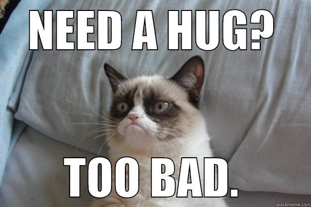 NEED A HUG? TOO BAD. Grumpy Cat