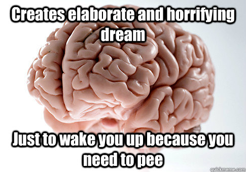 Creates elaborate and horrifying dream Just to wake you up because you need to pee  Scumbag Brain