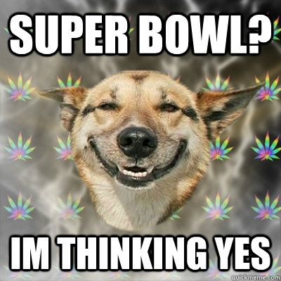 super bowl? im thinking yes  Stoner Dog