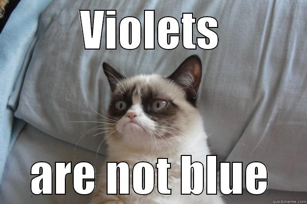 VIOLETS ARE NOT BLUE Grumpy Cat