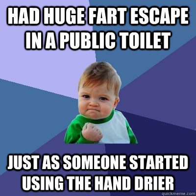 had huge fart escape in a public toilet just as someone started using the hand drier  Success Kid