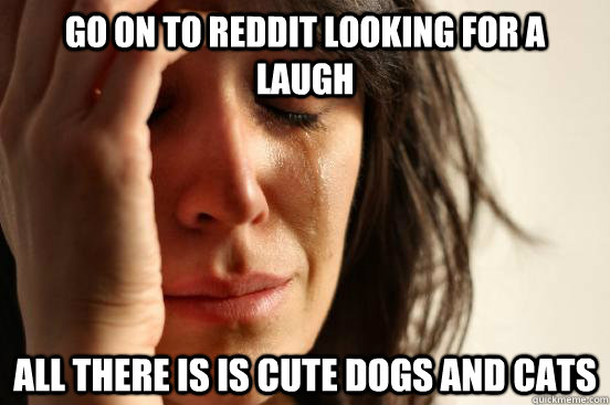 Go on to reddit looking for a laugh all there is is cute dogs and cats  First World Problems