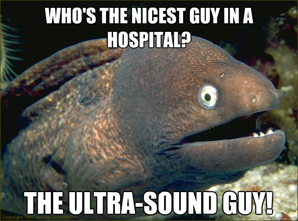 who's the nicest guy in a hospital? the ultra-sound guy!  Bad Joke Eel